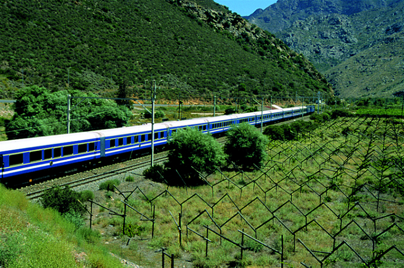 Cape Town, The Blue Train and Safari for 2025!
