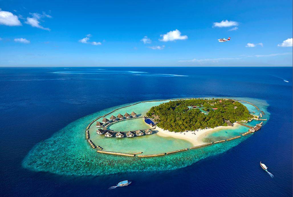 Flash Sale! Includes a 20% saving at the Ellaidhoo Maldives by Cinnamon