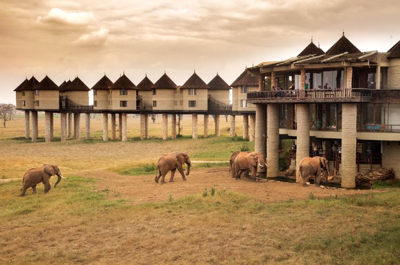 3-night Madaraka Express Kenya Safari and a 7-night beach stay!