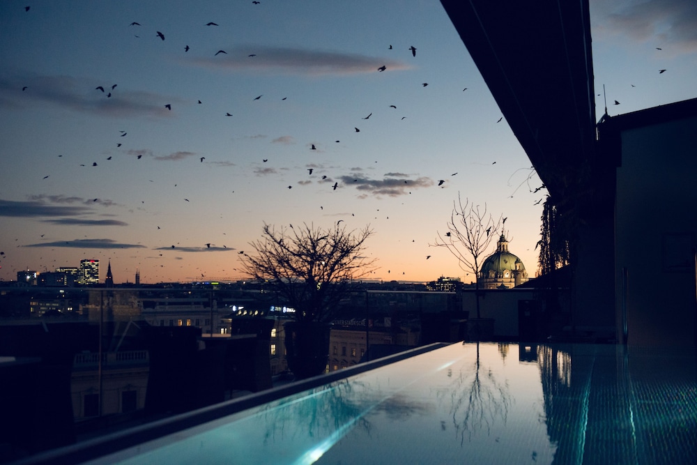 Rooftop Pool