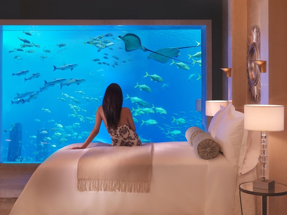 Underwater Suite