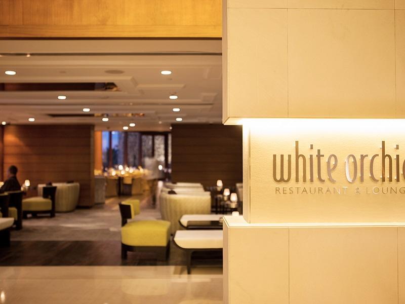 White Orchid Lounge