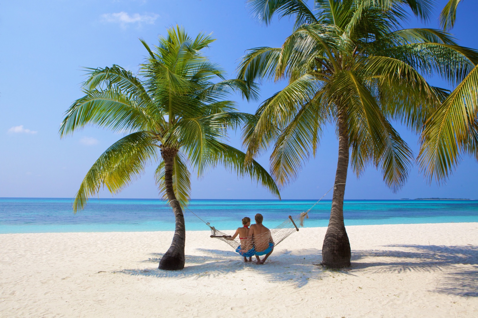 Kuredu Palm Trees