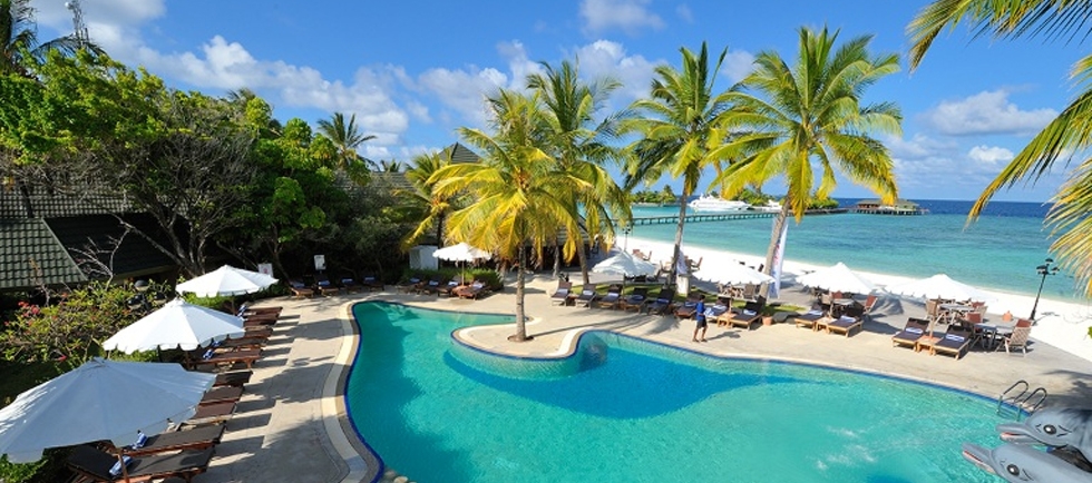 Dolphin Pool