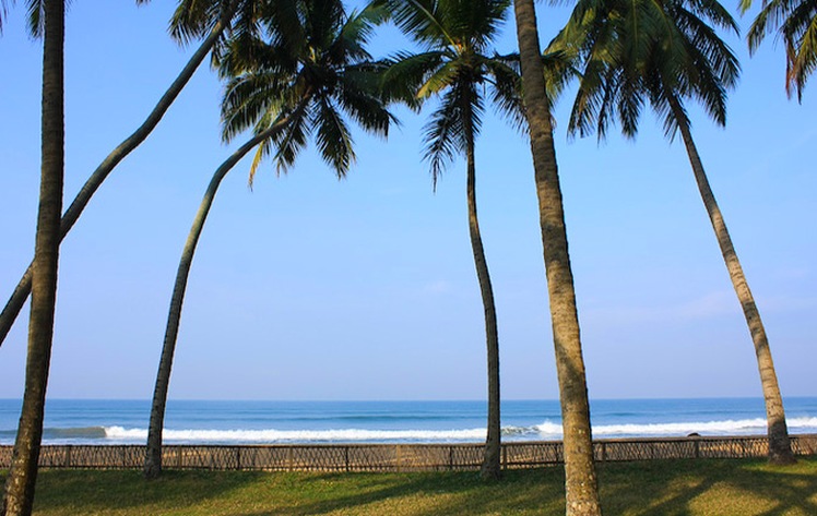 Beach View