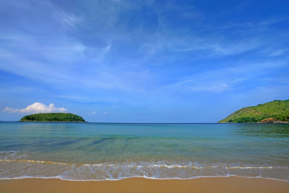 Beach/Ocean View