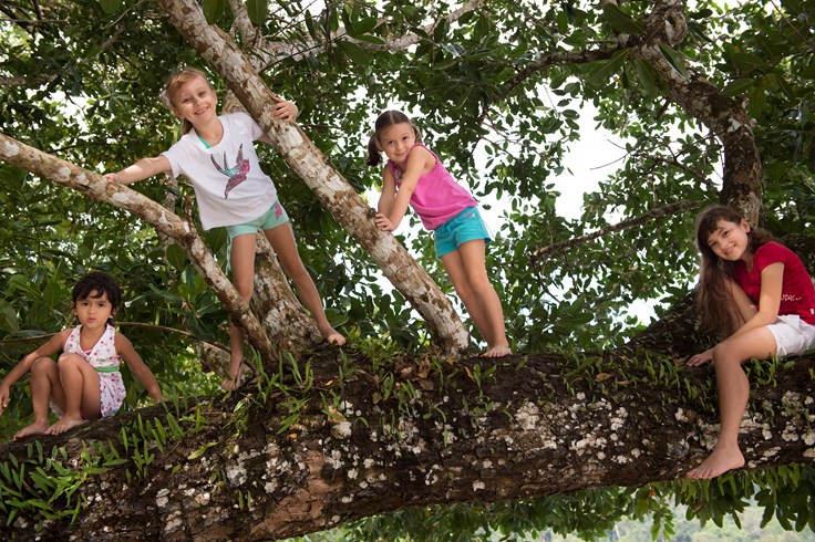 Little Robinson Climbing Trees