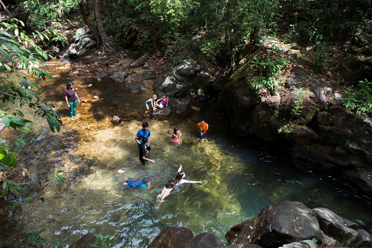 Little Robinson Jungle Exploration The Creek