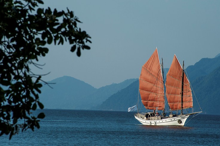 Naga Pelangi