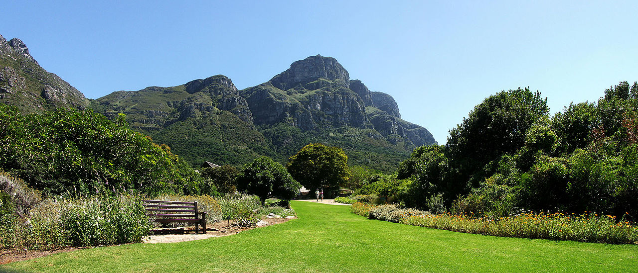 Kirstenbosch National Botanical Gardens