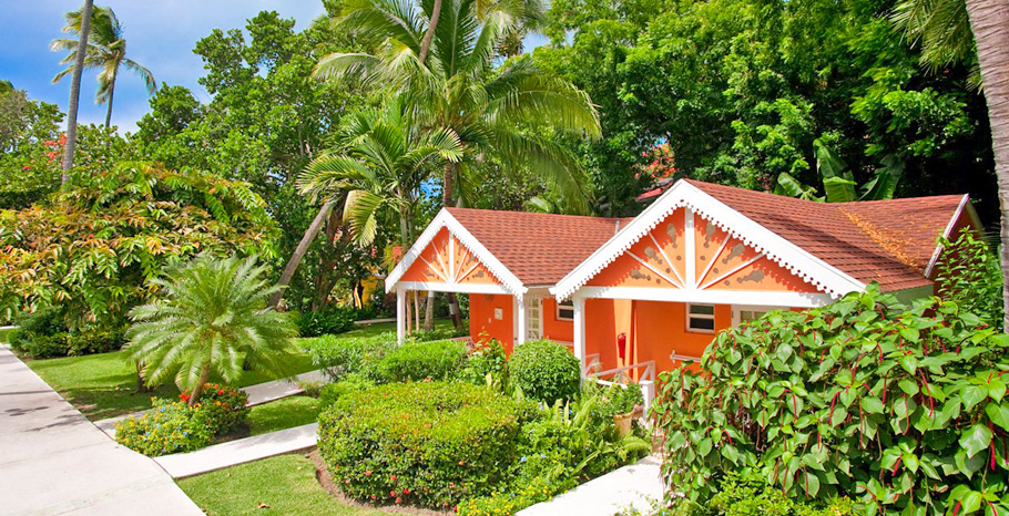 Caribbean Honeymoon Premium
