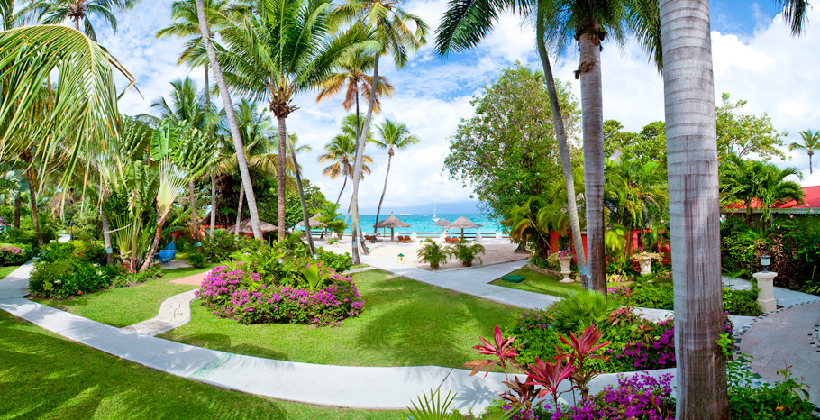 Caribbean Walkout Club Level Veranda Suite