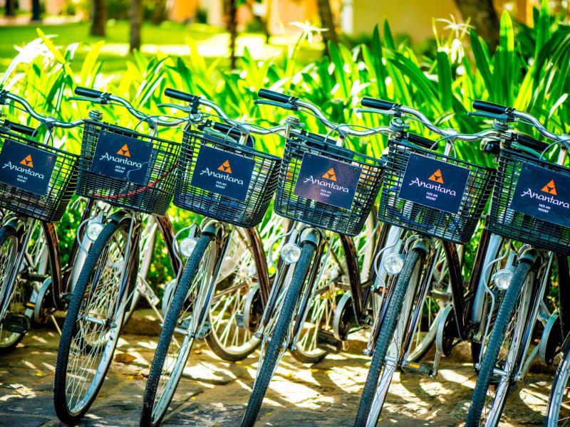 Bicycle Hire