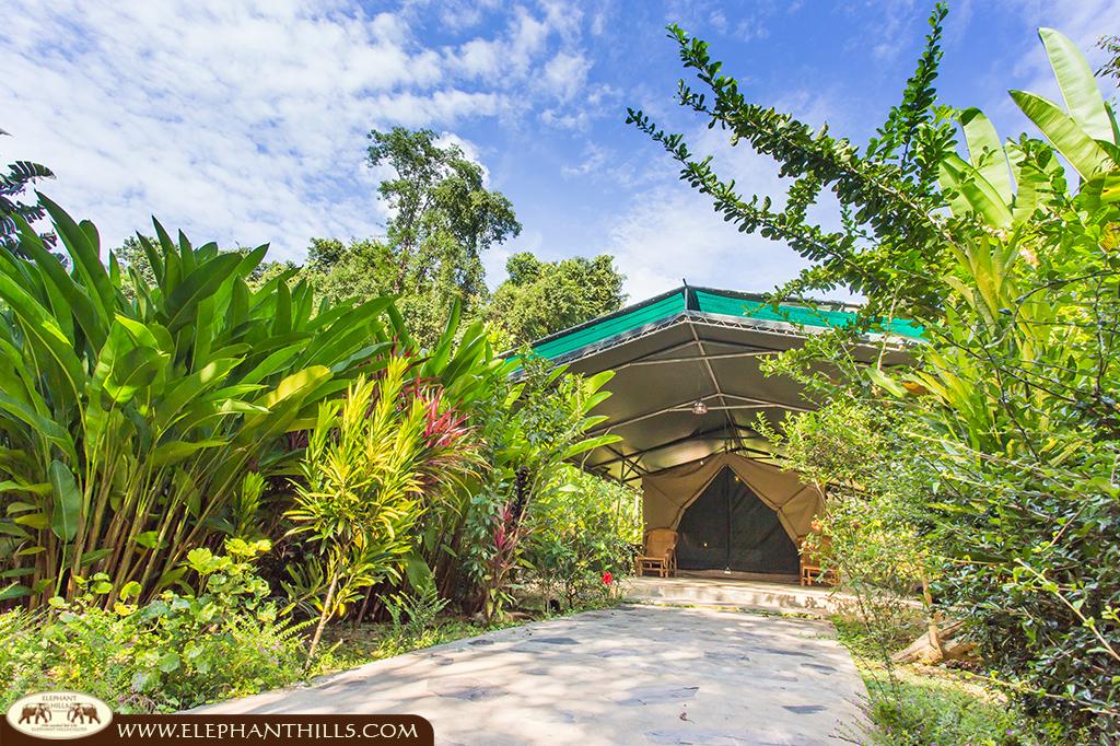 tent