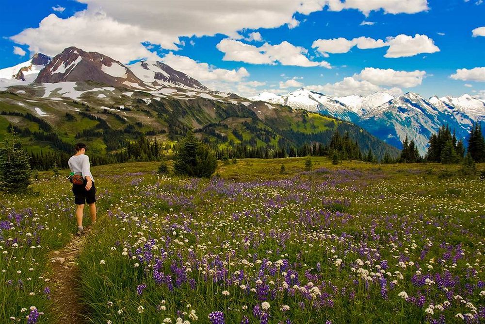 Hilton Whistler Resort & Spa