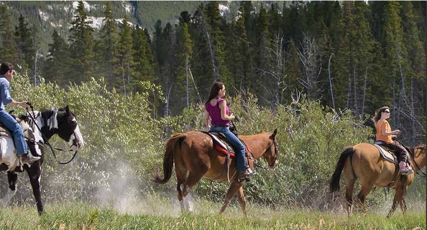 Horseback Riding