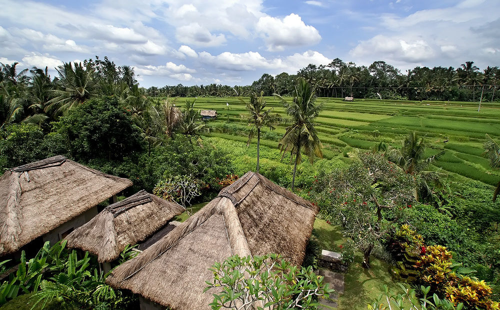 Maya Ubud Resort & Spa