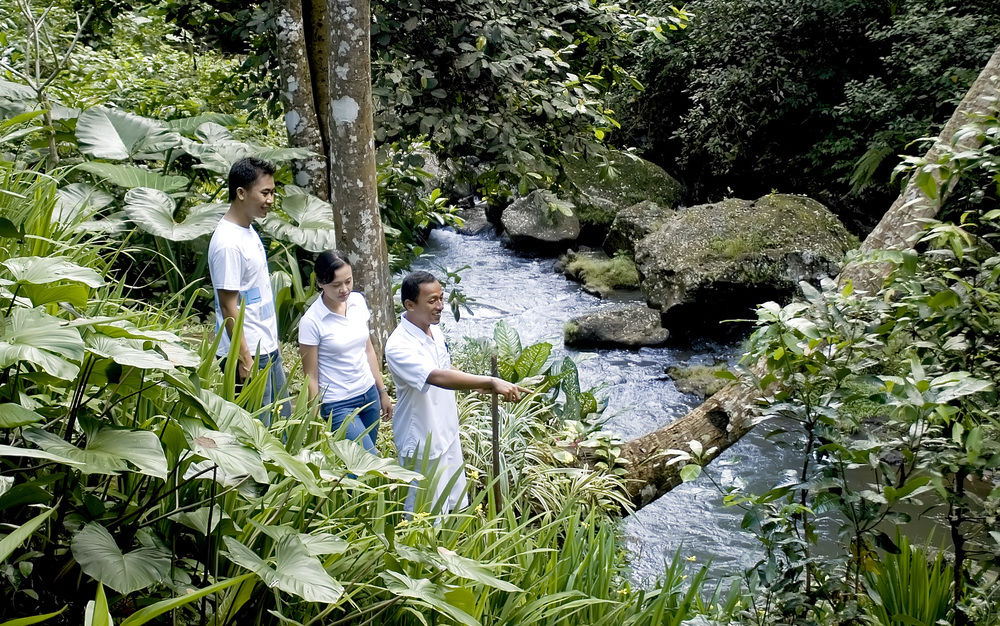 Maya Ubud Resort & Spa