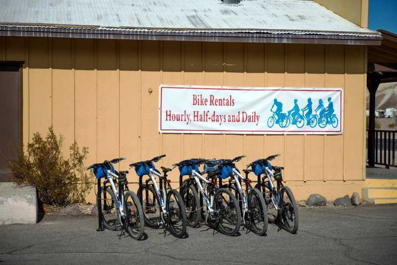 Bike Rentals