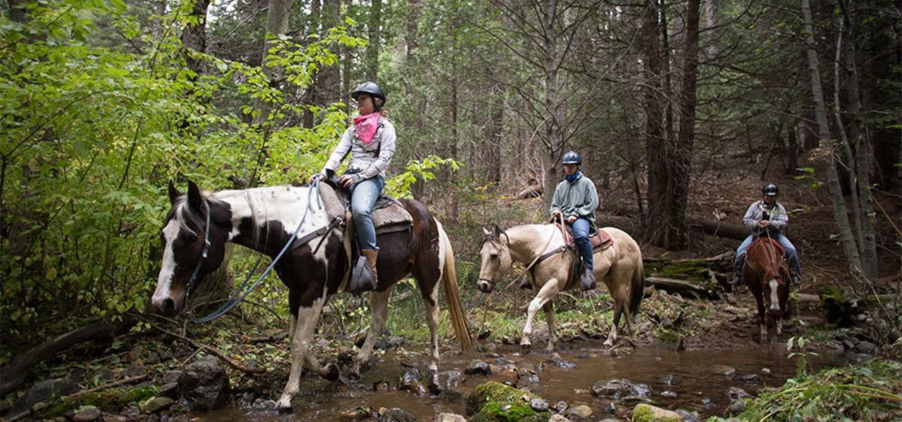 Horseback Riding