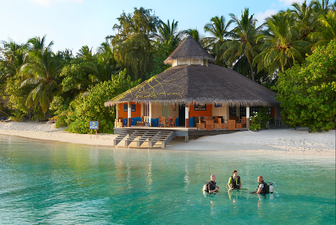 Dive School
