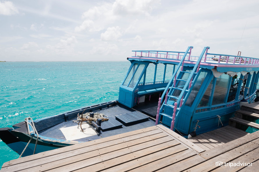 Dive School
