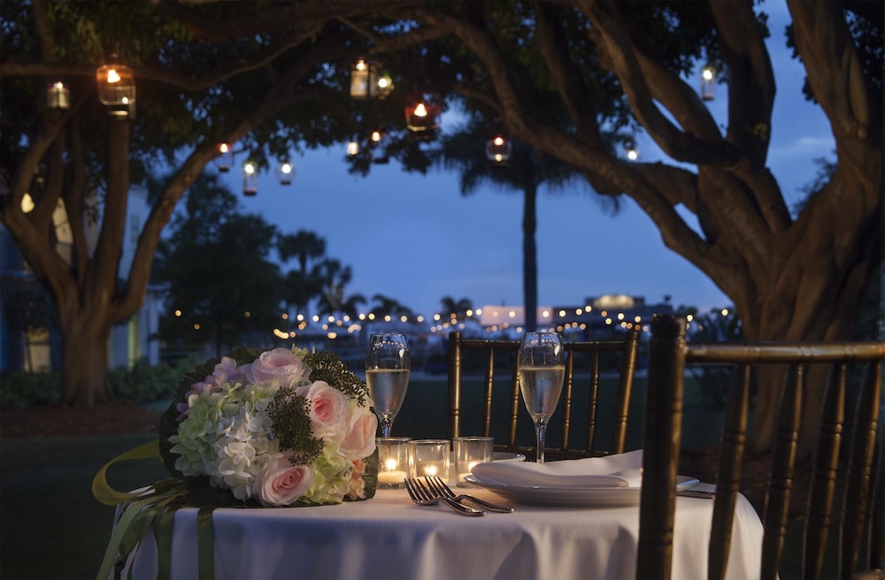 Outdoor wedding area