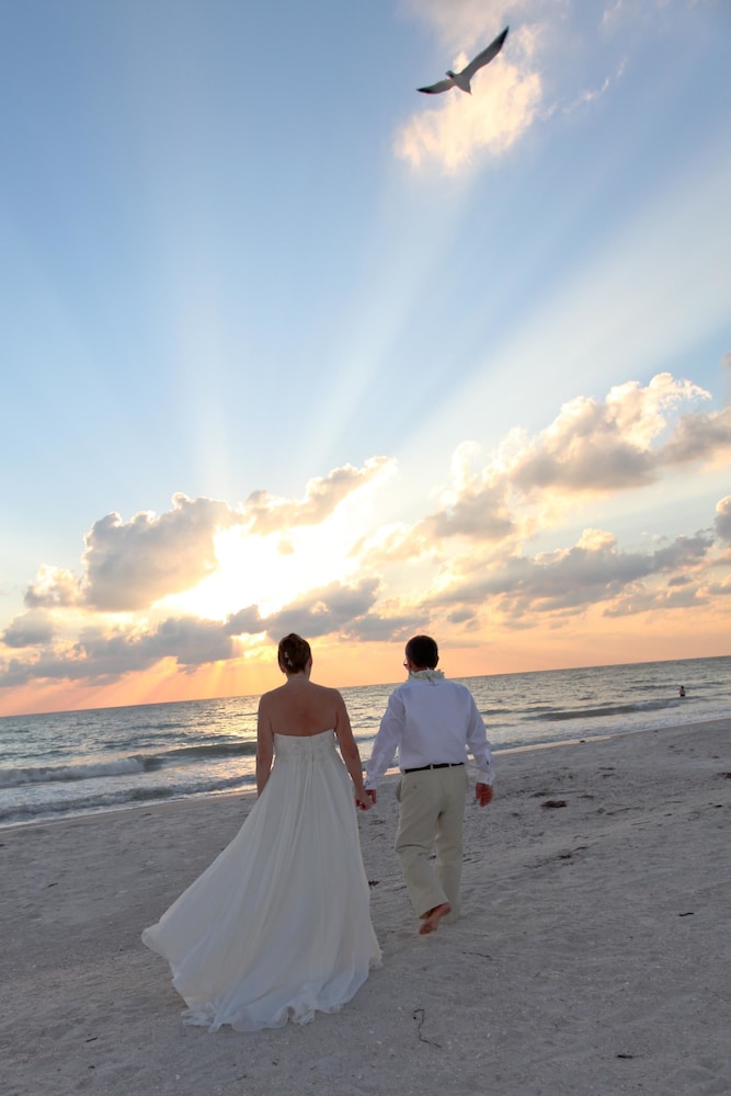 Outdoor wedding area