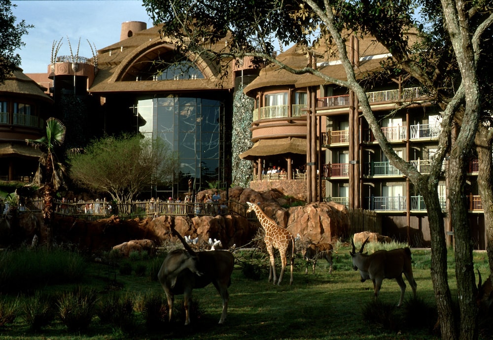 Courtyard View