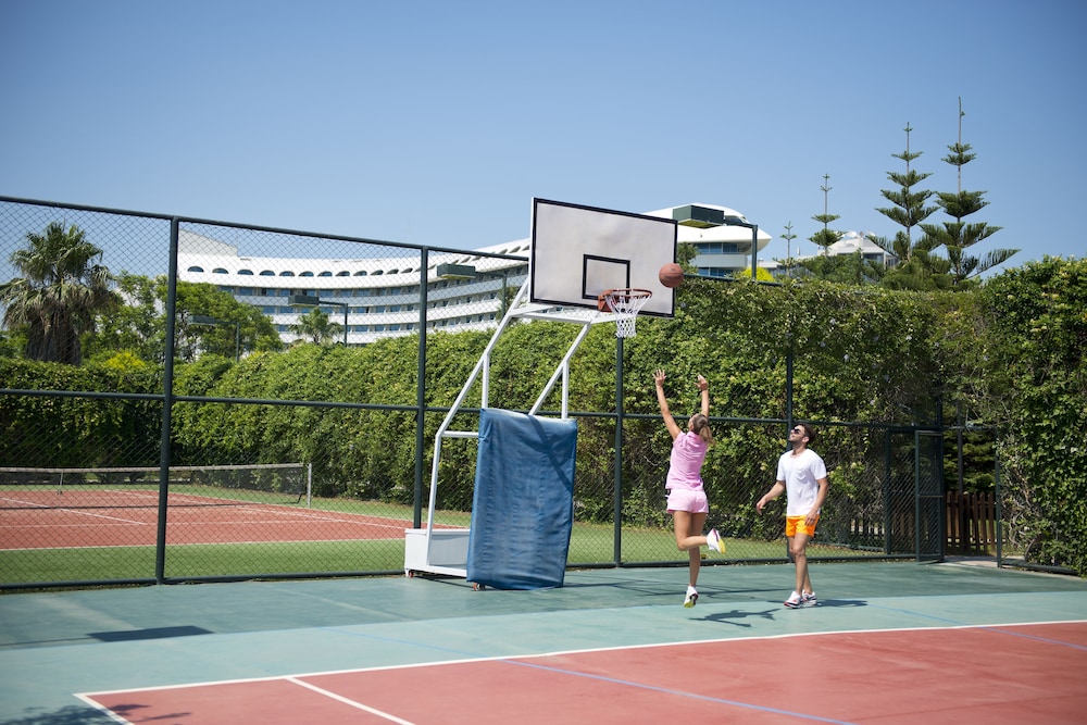 Basketball court