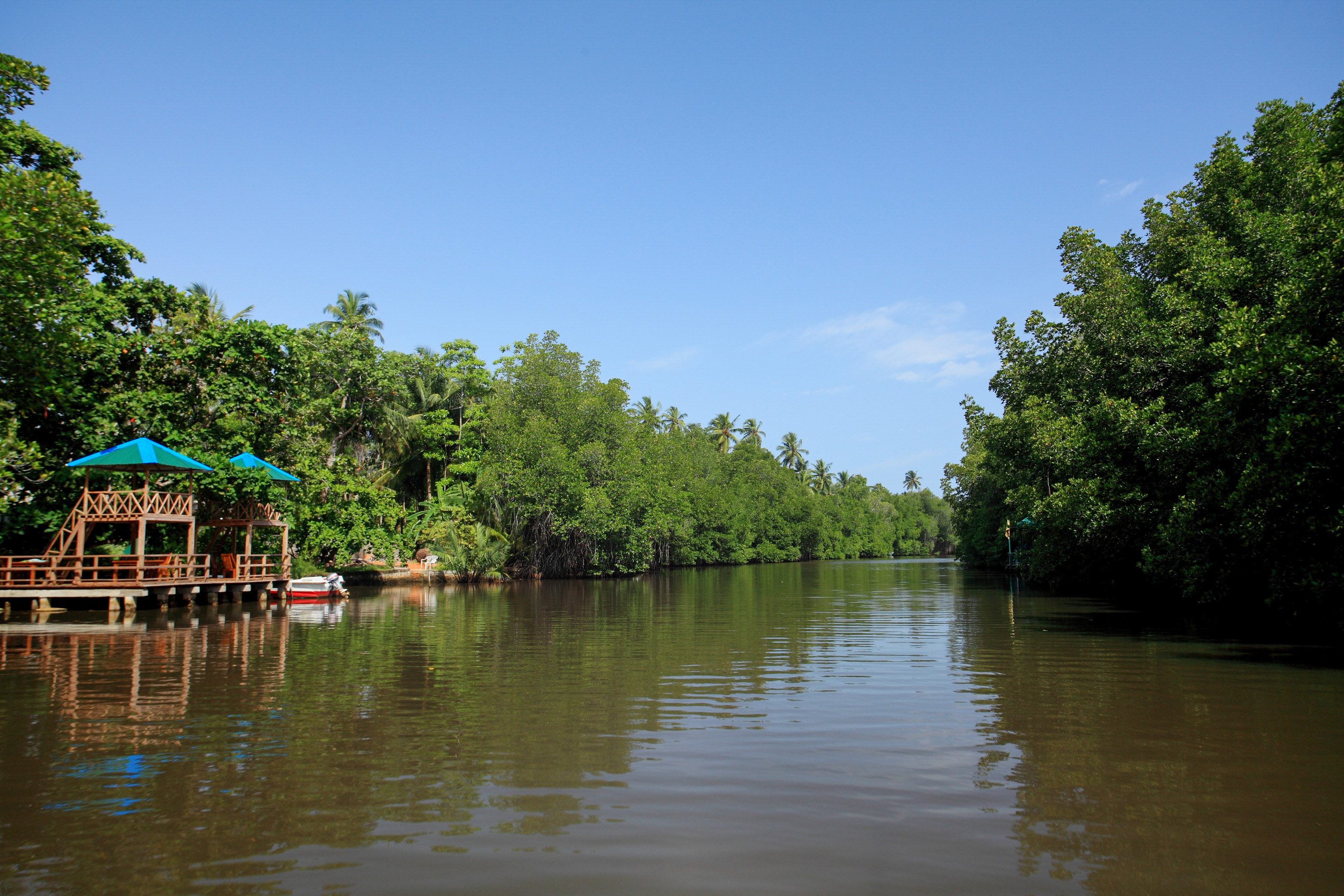 Bentota River and Mangrove