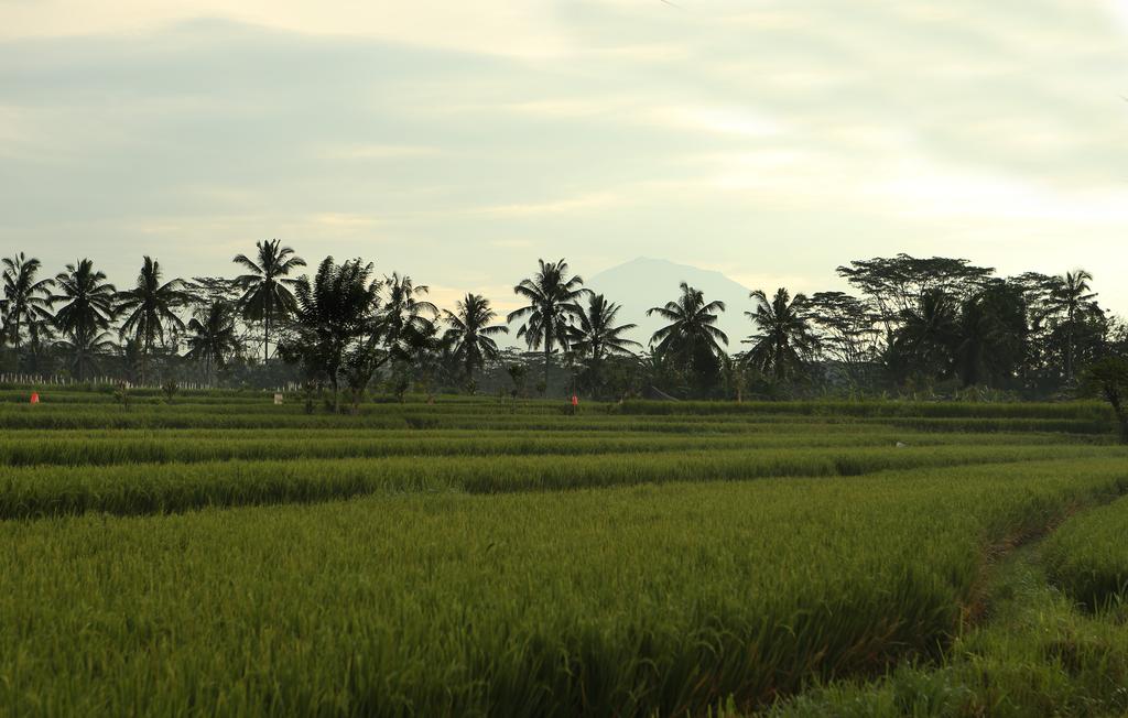 Alila Ubud