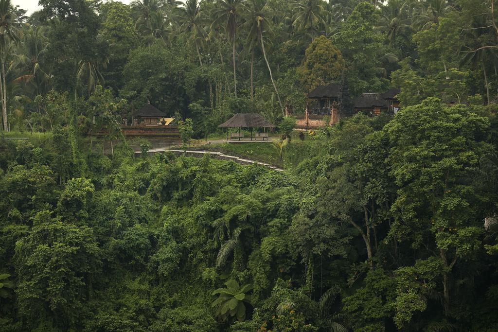 Alila Ubud