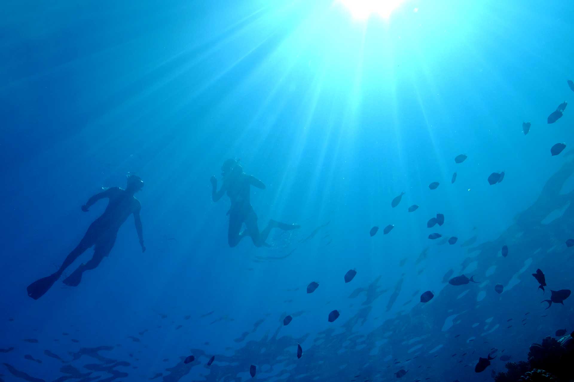 Baglioni Resort Maldives Snorkeling