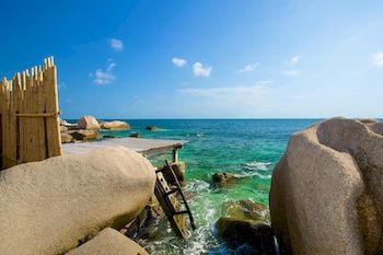 Beach/Ocean View