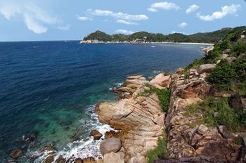 Beach/Ocean View