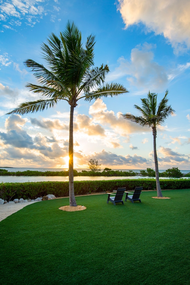 Outdoor wedding area