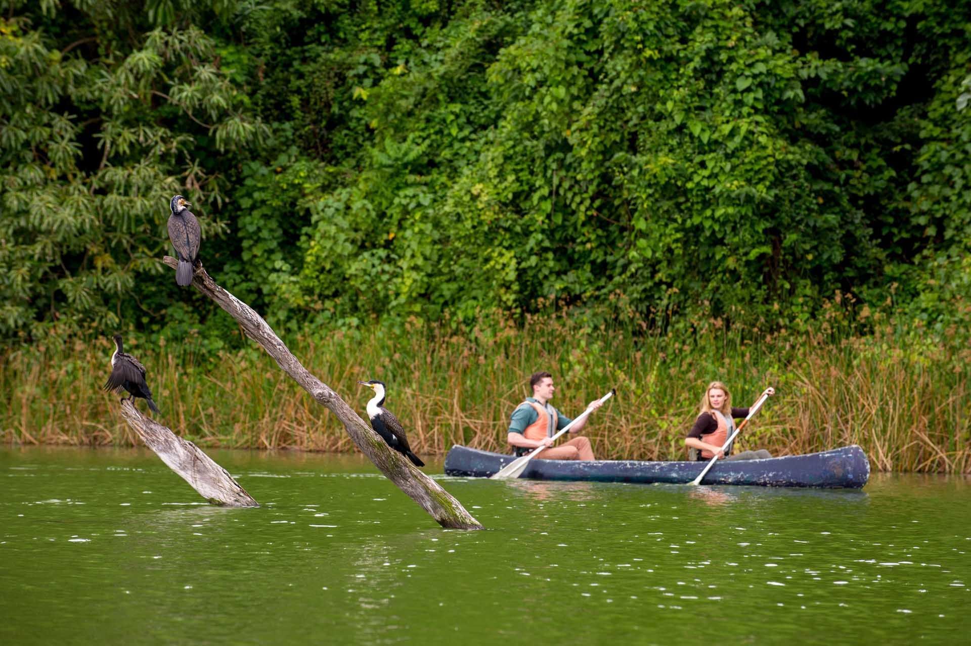 Canoeing