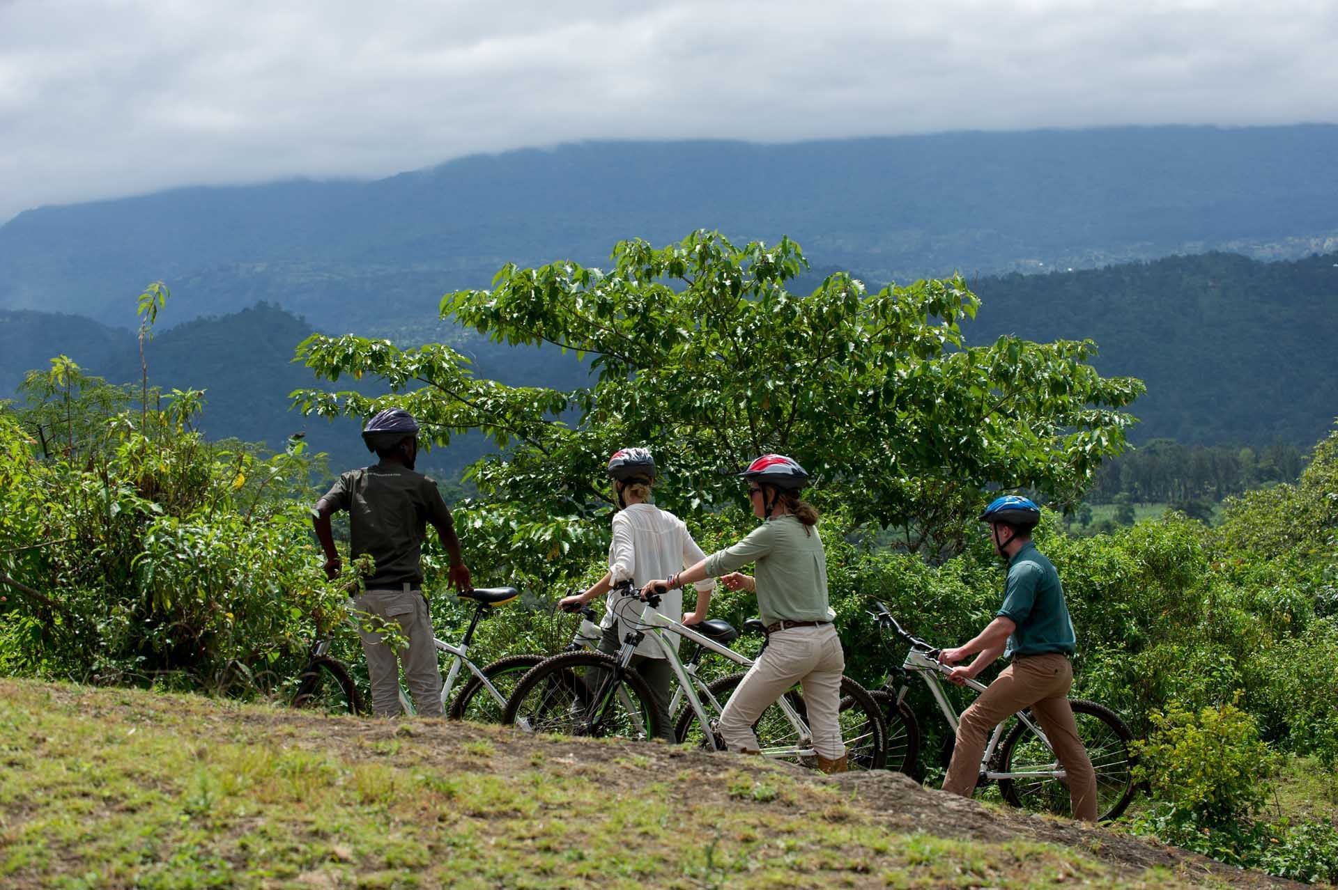 Mountain biking