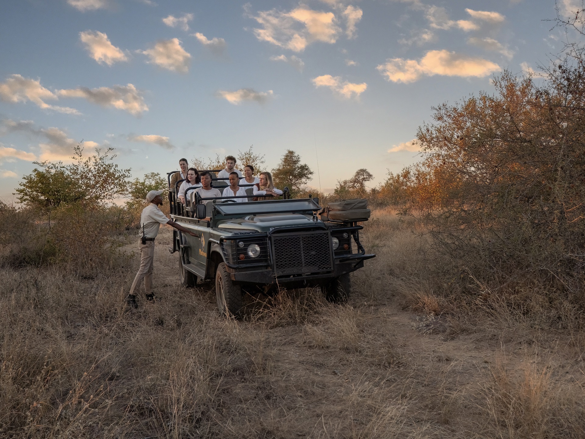 safari 1