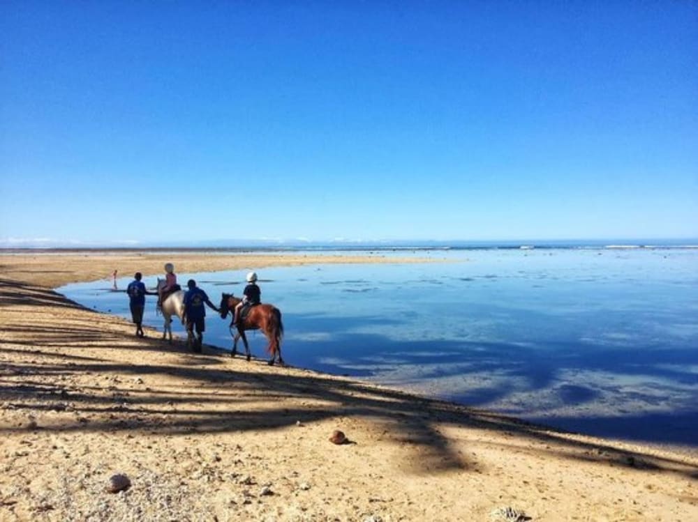 Horseback riding