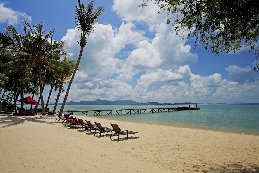 Beach/Ocean View